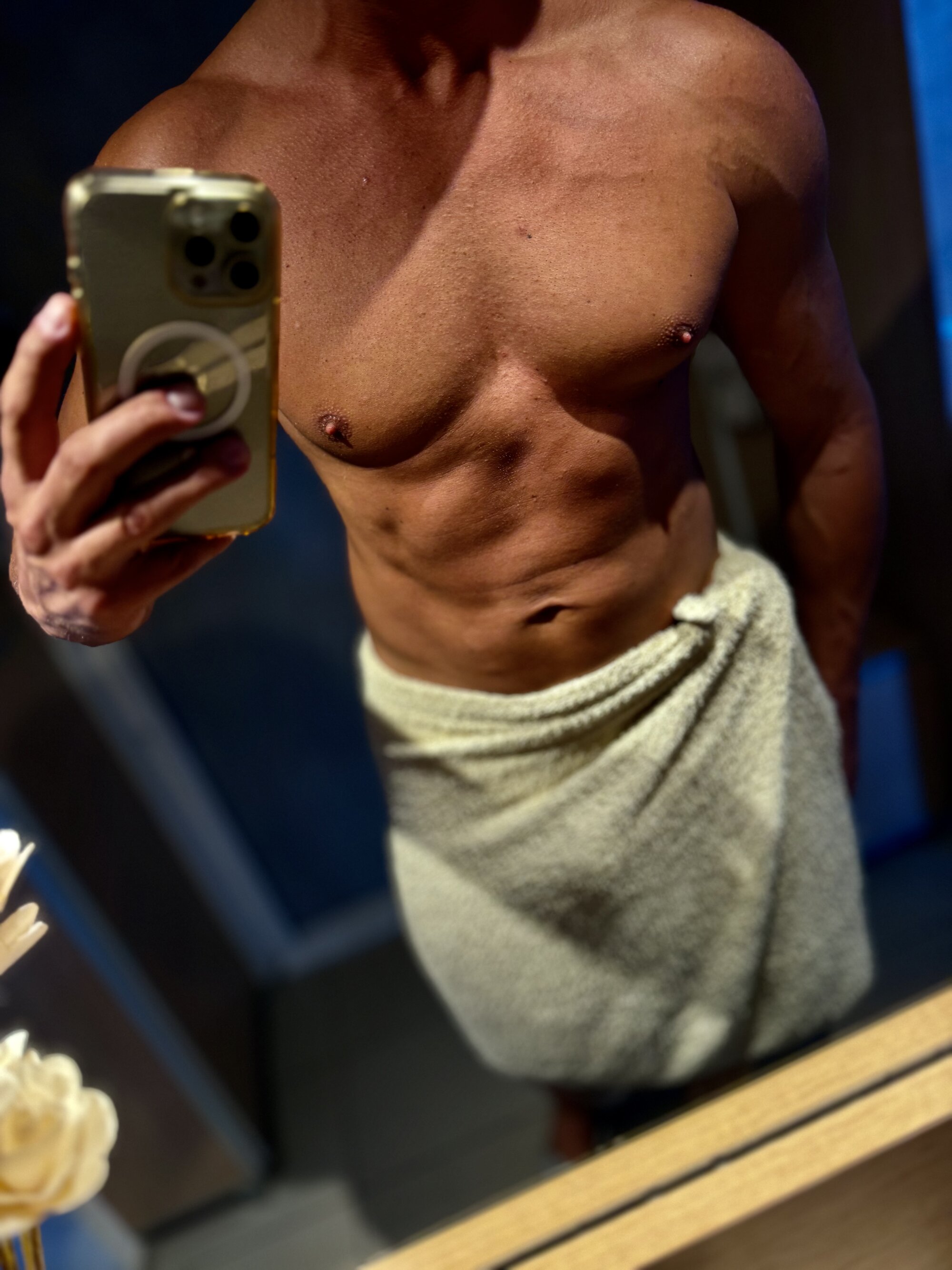 FitModel