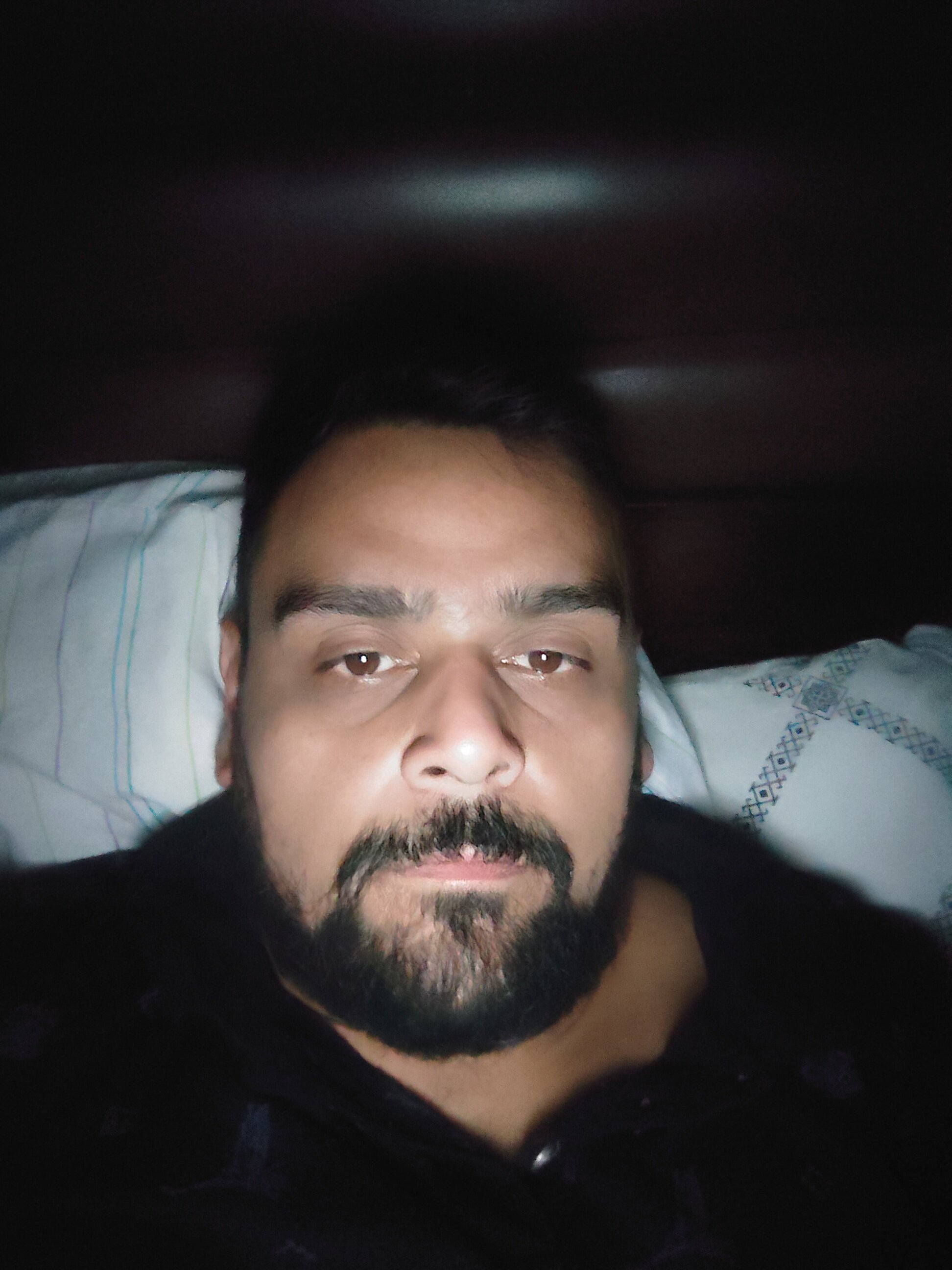 2025luis1