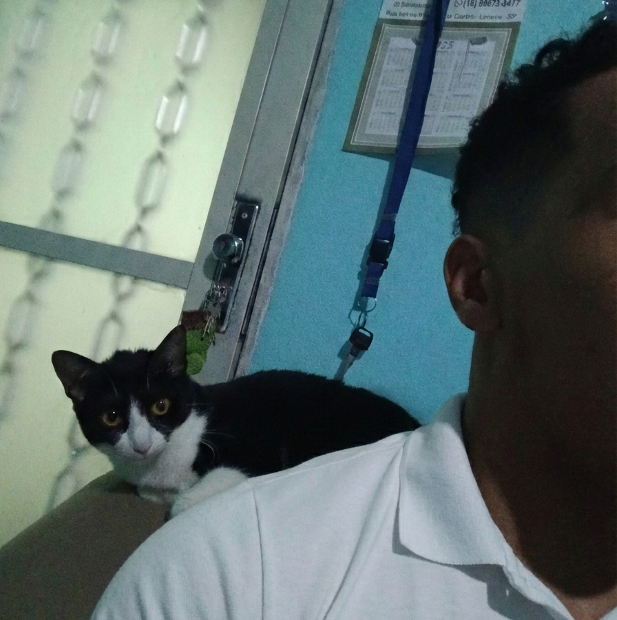 andromedazcのオフラインXXXチャット