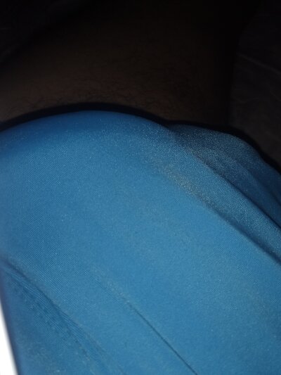 peludinhobrasilll Avatar