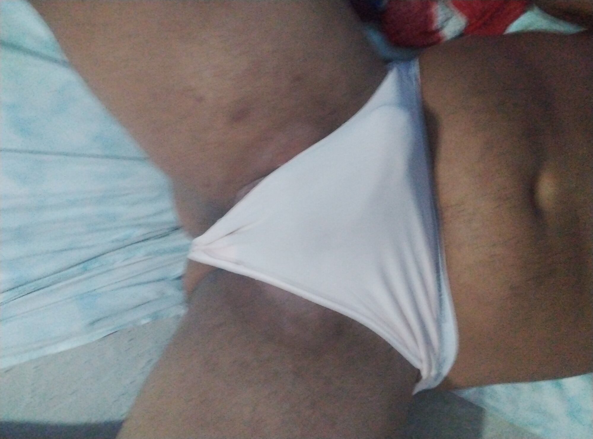 persialavella005