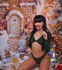 Модель Merry__Star