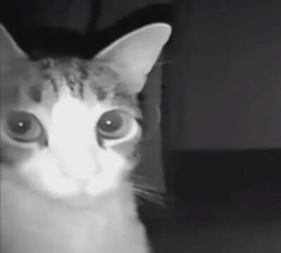 chubbygamer26 profile