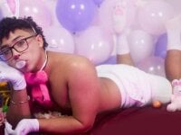 Модель Valentin0_3