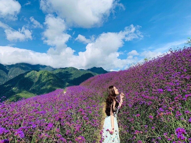 Ella_Phung 💏 live sex stream