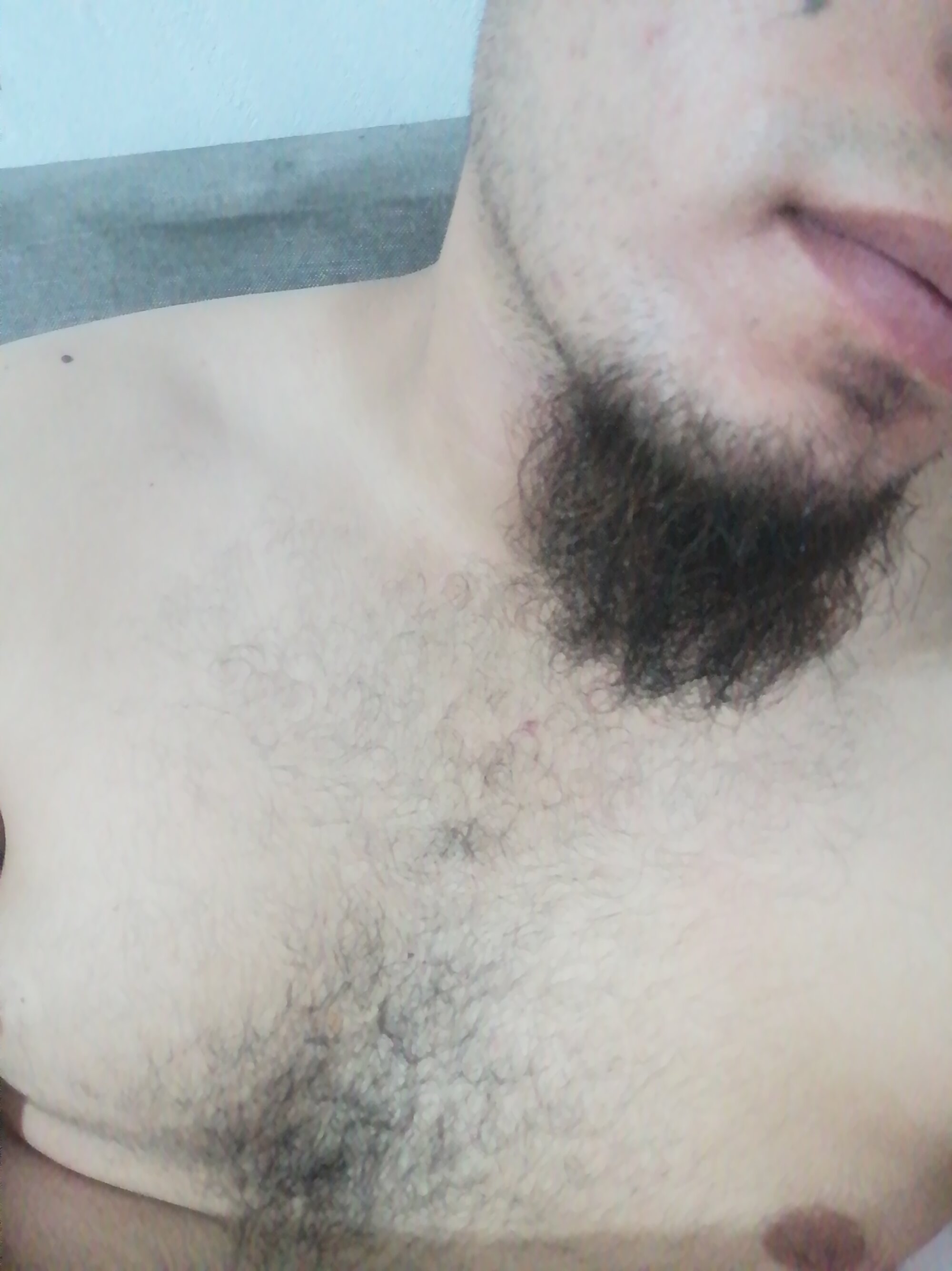 Robertobc