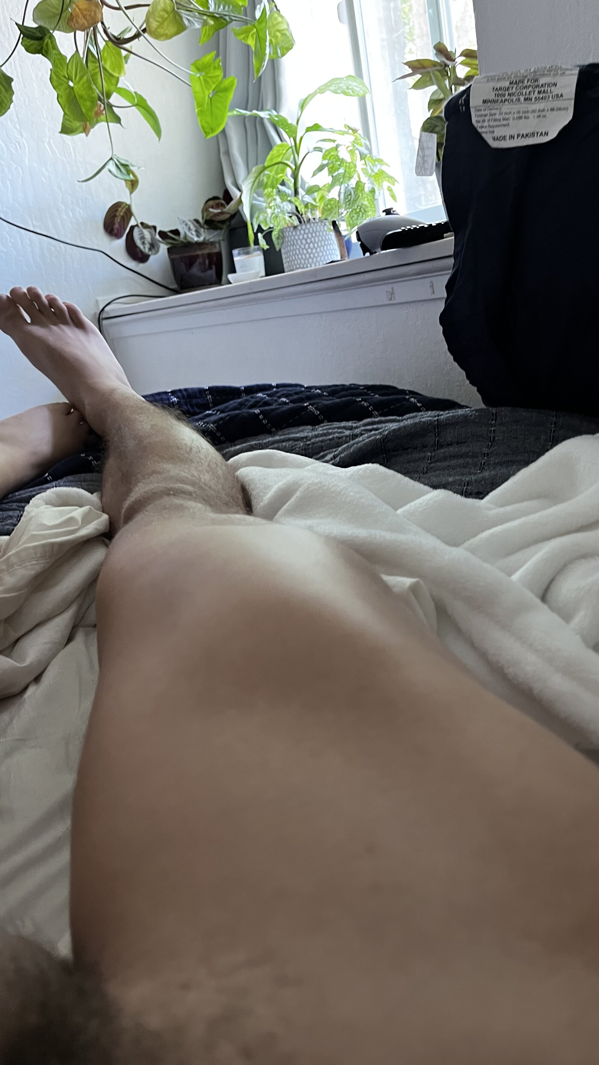 davidasg