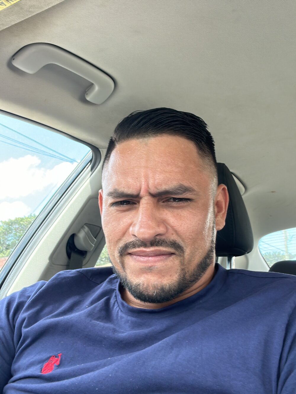 SensedAspic profile