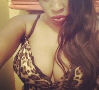 Модель Knightwalker24