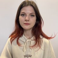BirdeVik's Offline Chat Room