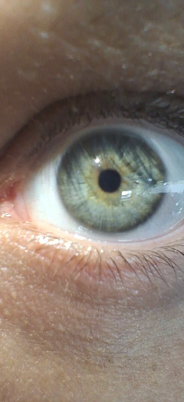 creamycock97