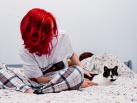 HidekoNeko offline chatrum