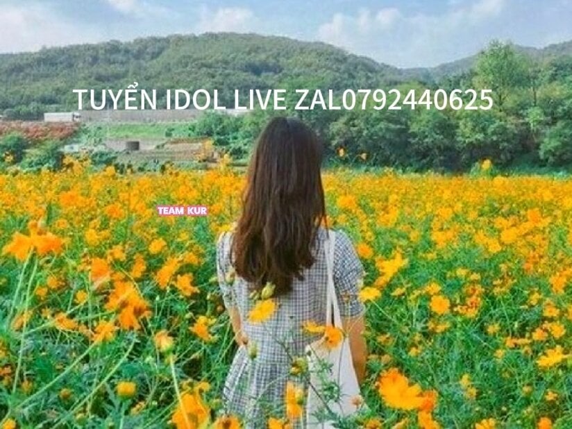 myliveeroticcams.com chubby-baby- livesex profile in vietnam cams