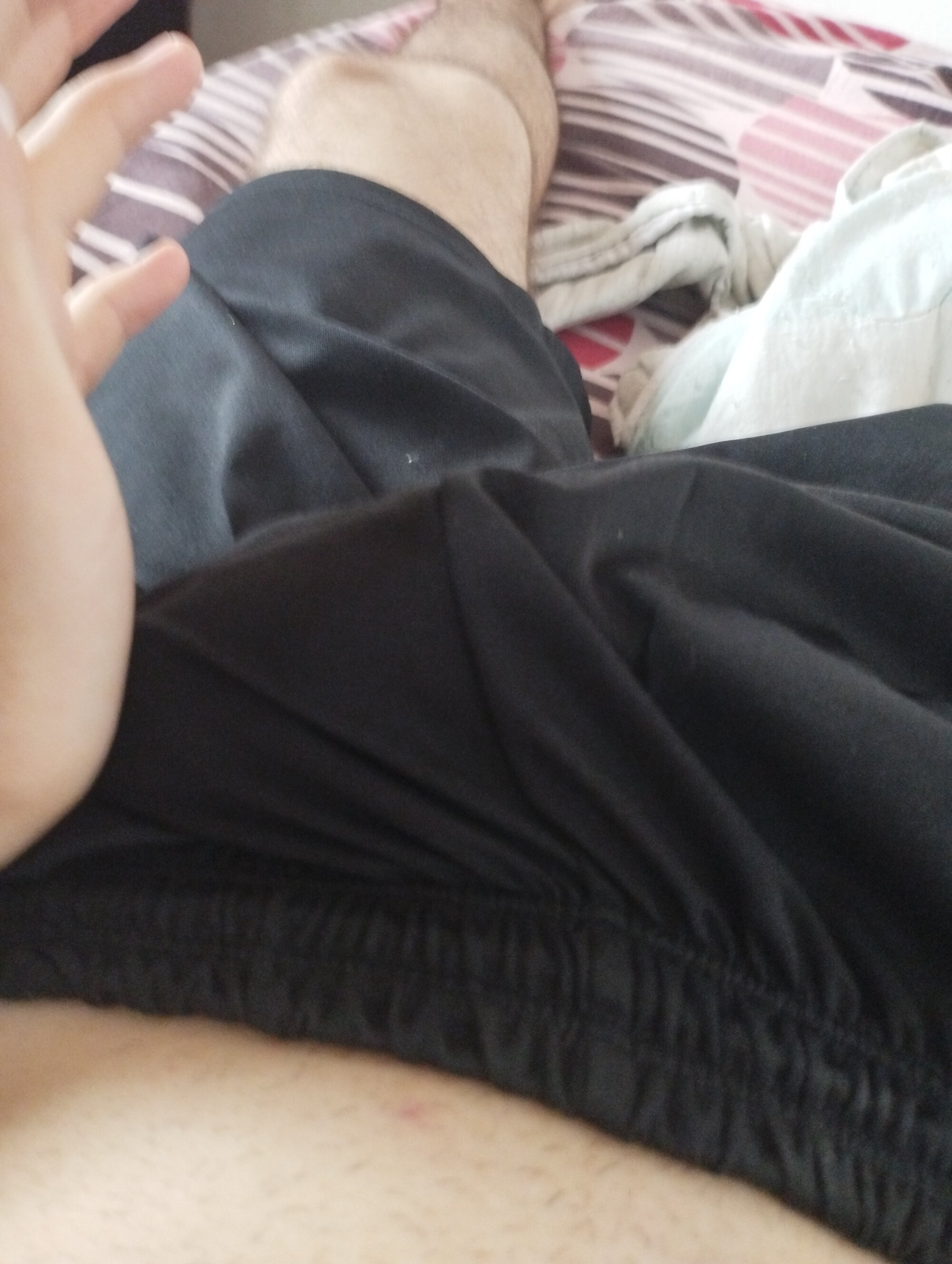 novinho__188