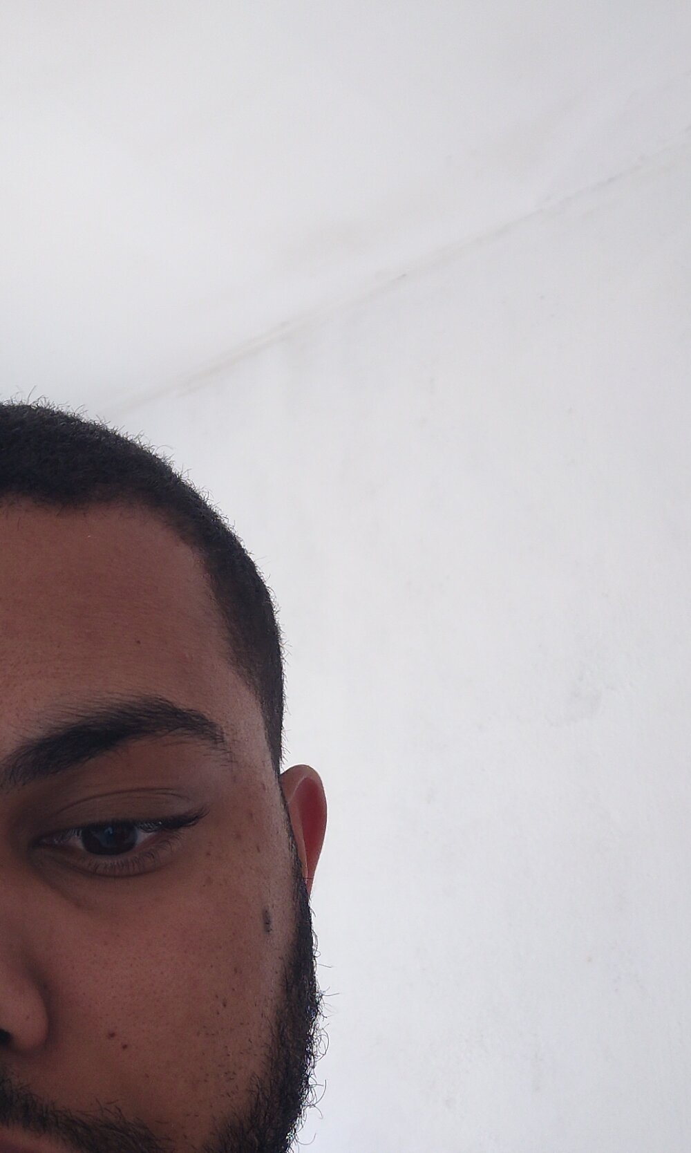 MoundedFacility's Offline XXX Chat