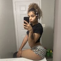 Модель 1prettygem