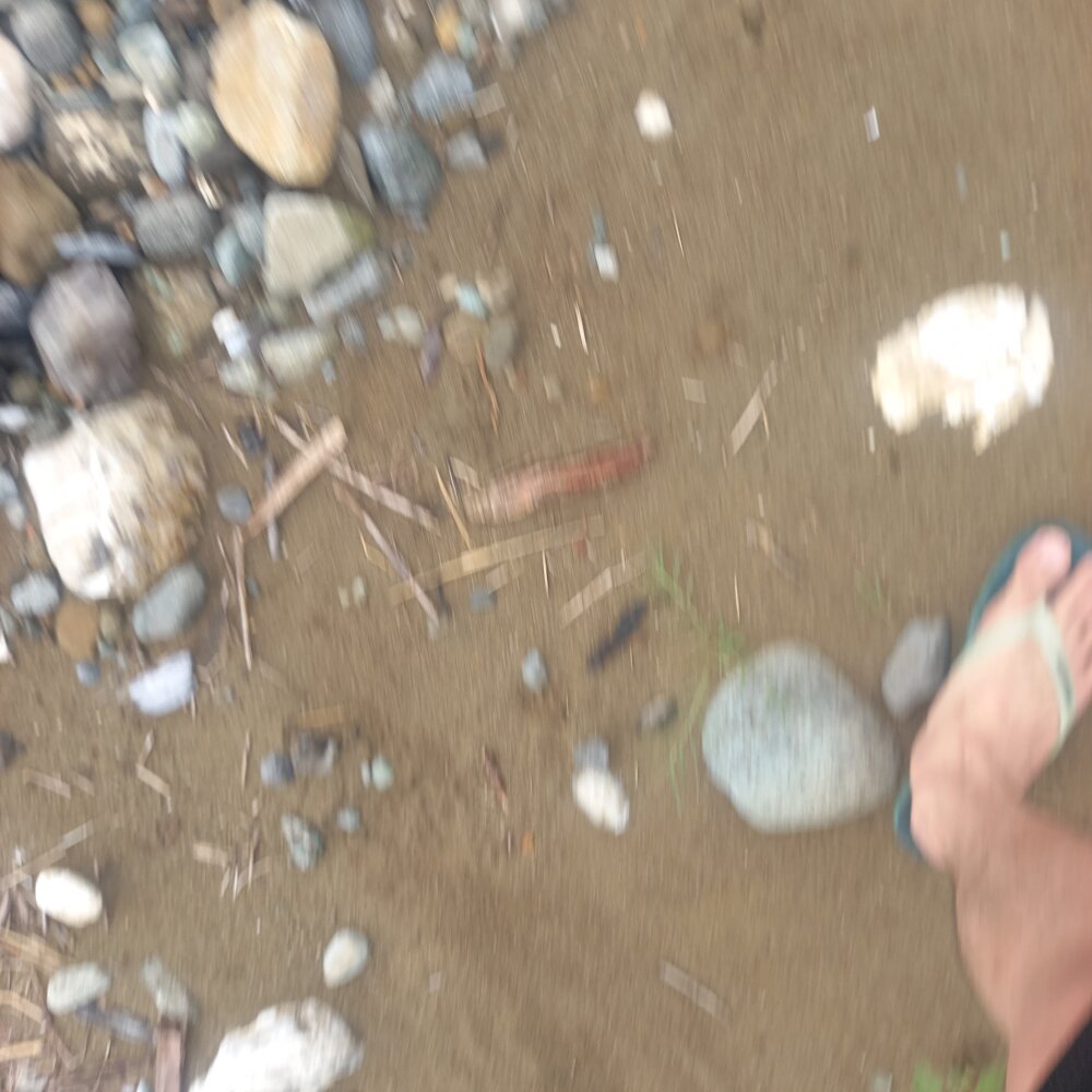 ghostproject's Offline XXX Chat