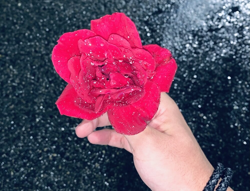 Lucky_boys__X profile