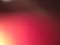 Peterpanyjj's webcam live show