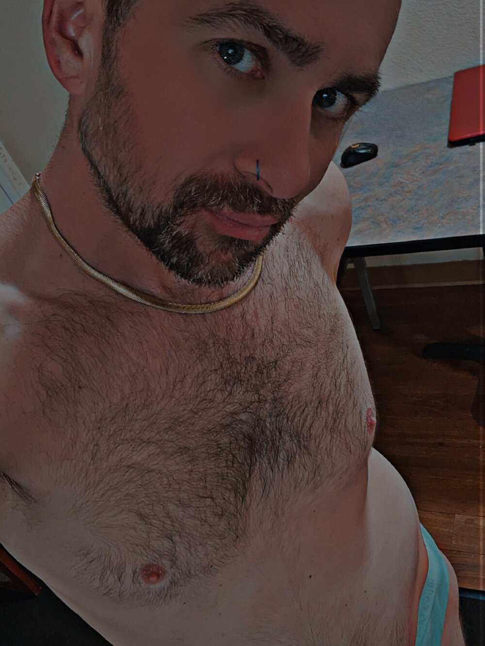 shenanigans247 from stripchat