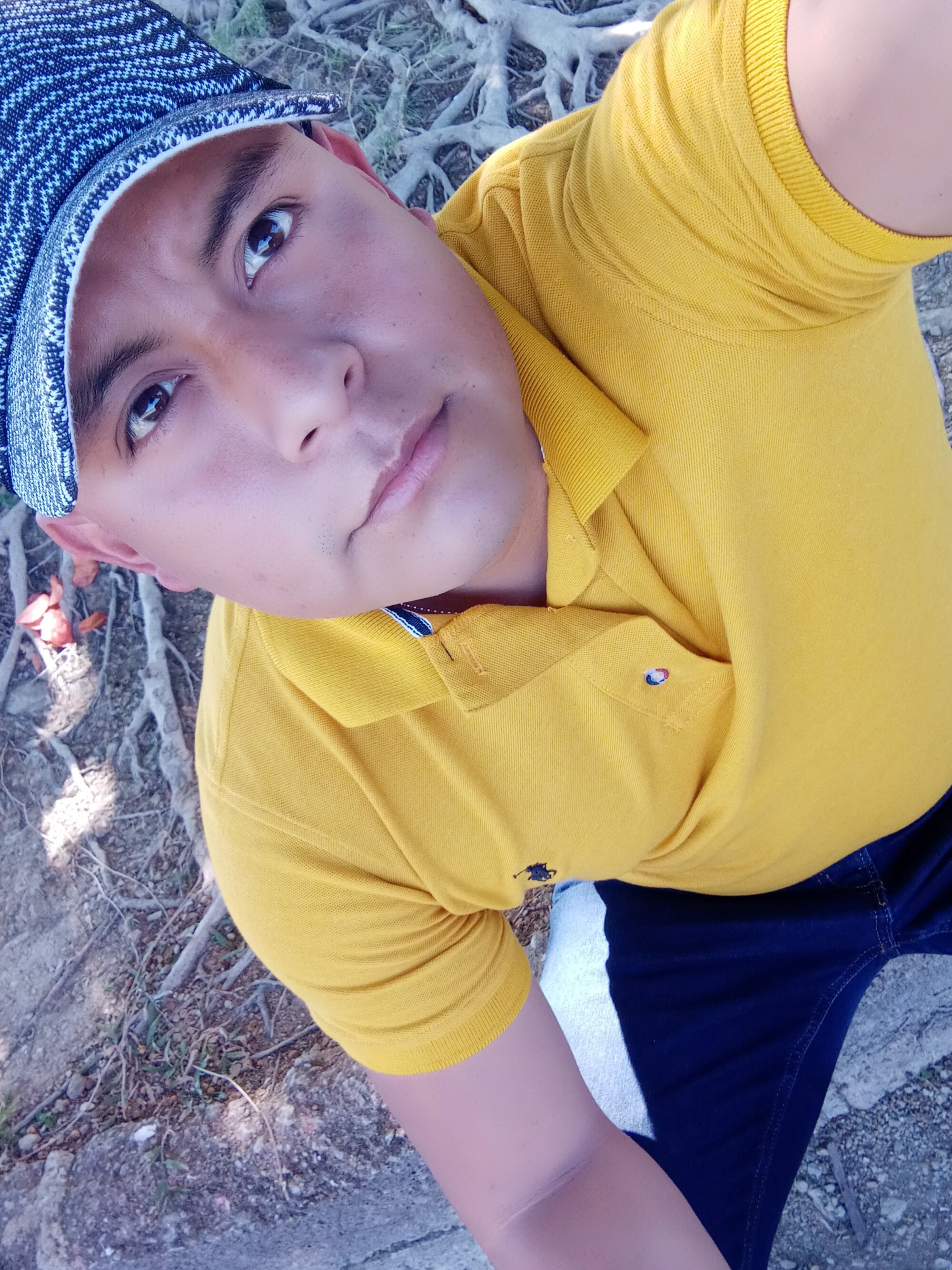 Tavionee