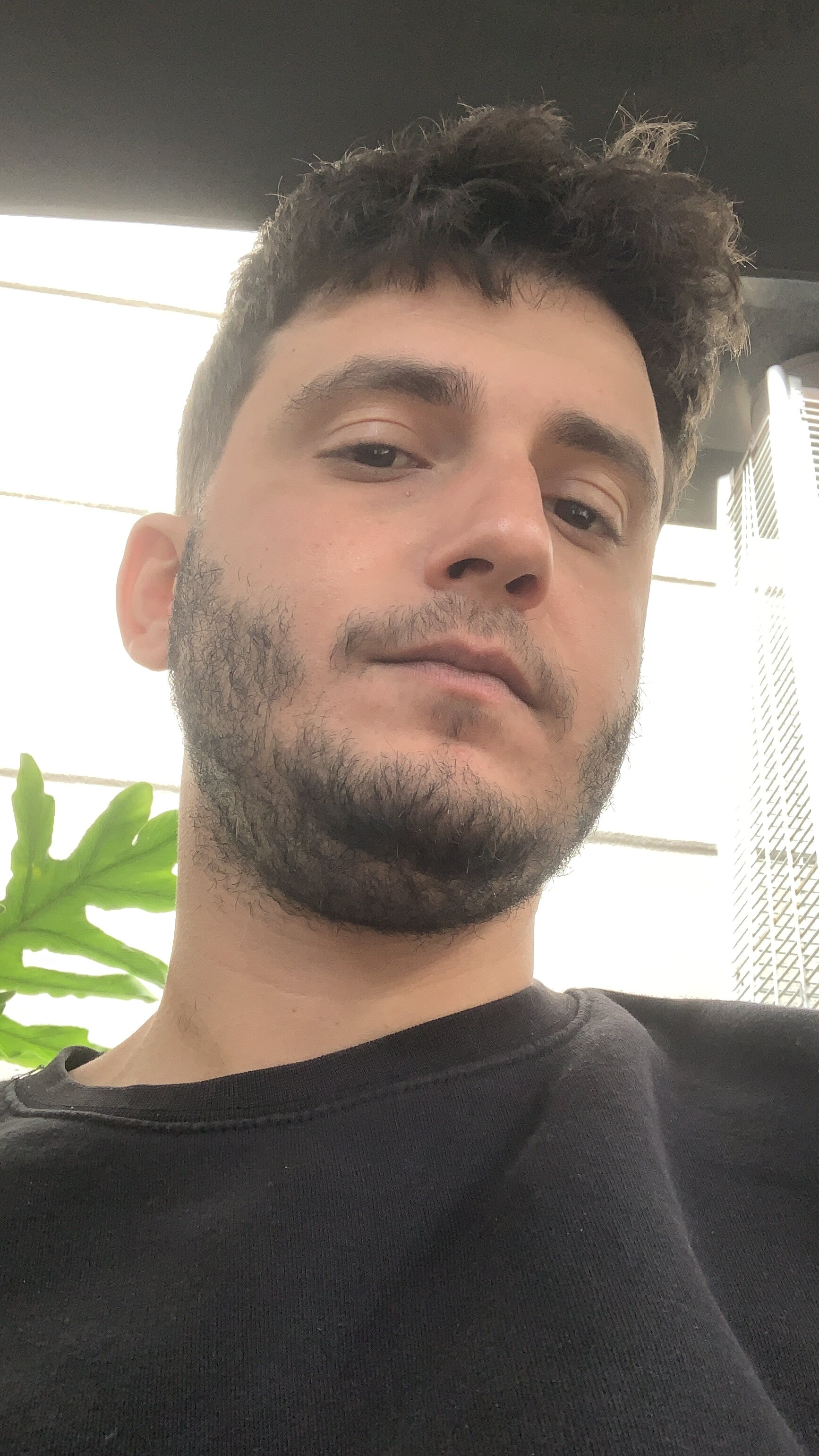 armandodaas