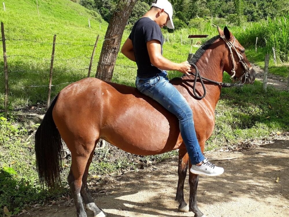 NovaSpice_nom Chat XXX offline