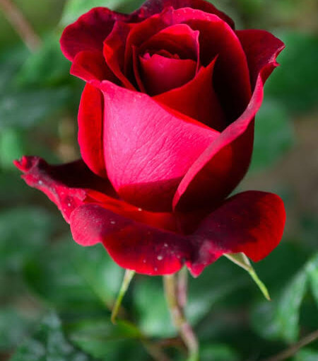 pratikdu48's most recent online preview