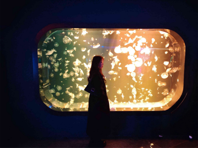 valkirii Live Cam on StripChat