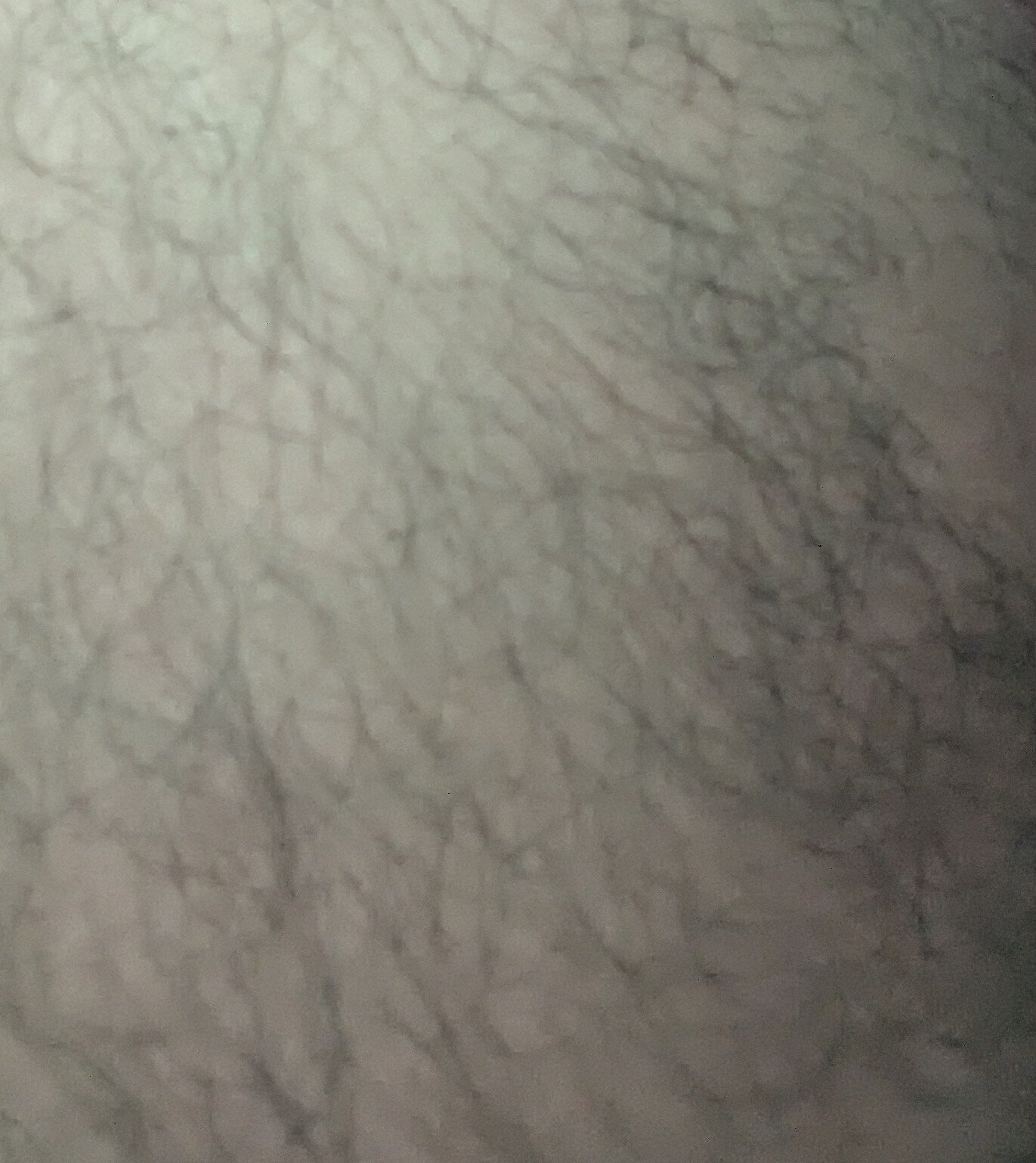 BIG_BLACK_COCK543