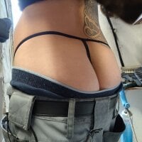 Модель Geiler_Staender