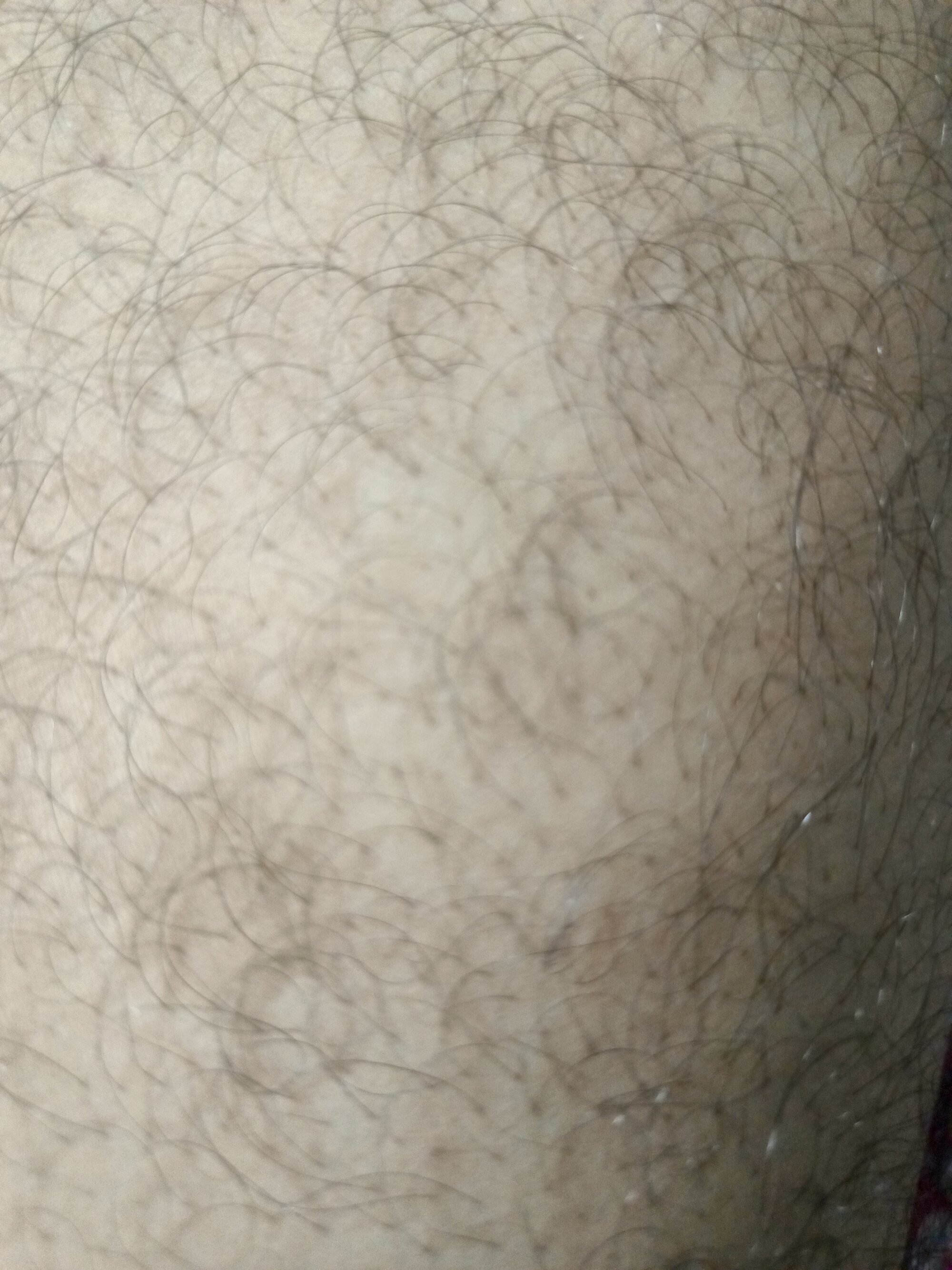 guyplayer2122y