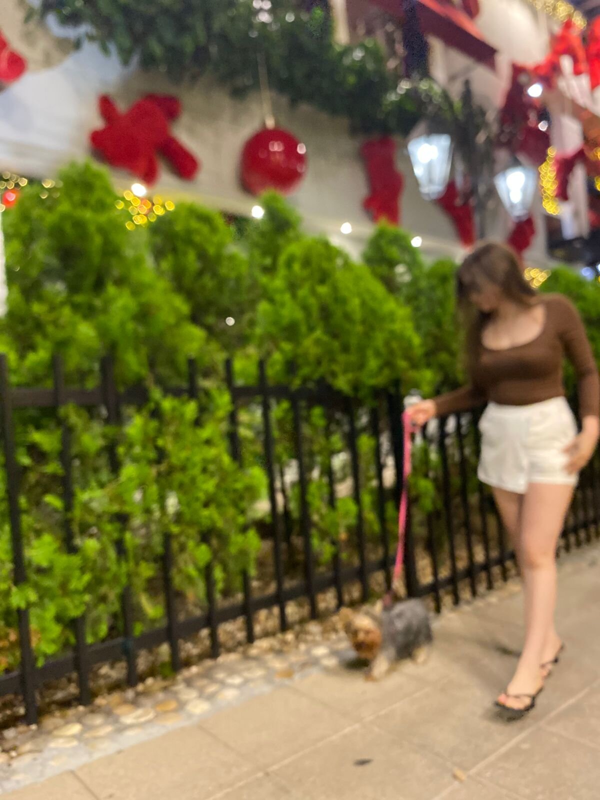 Lilie_petite