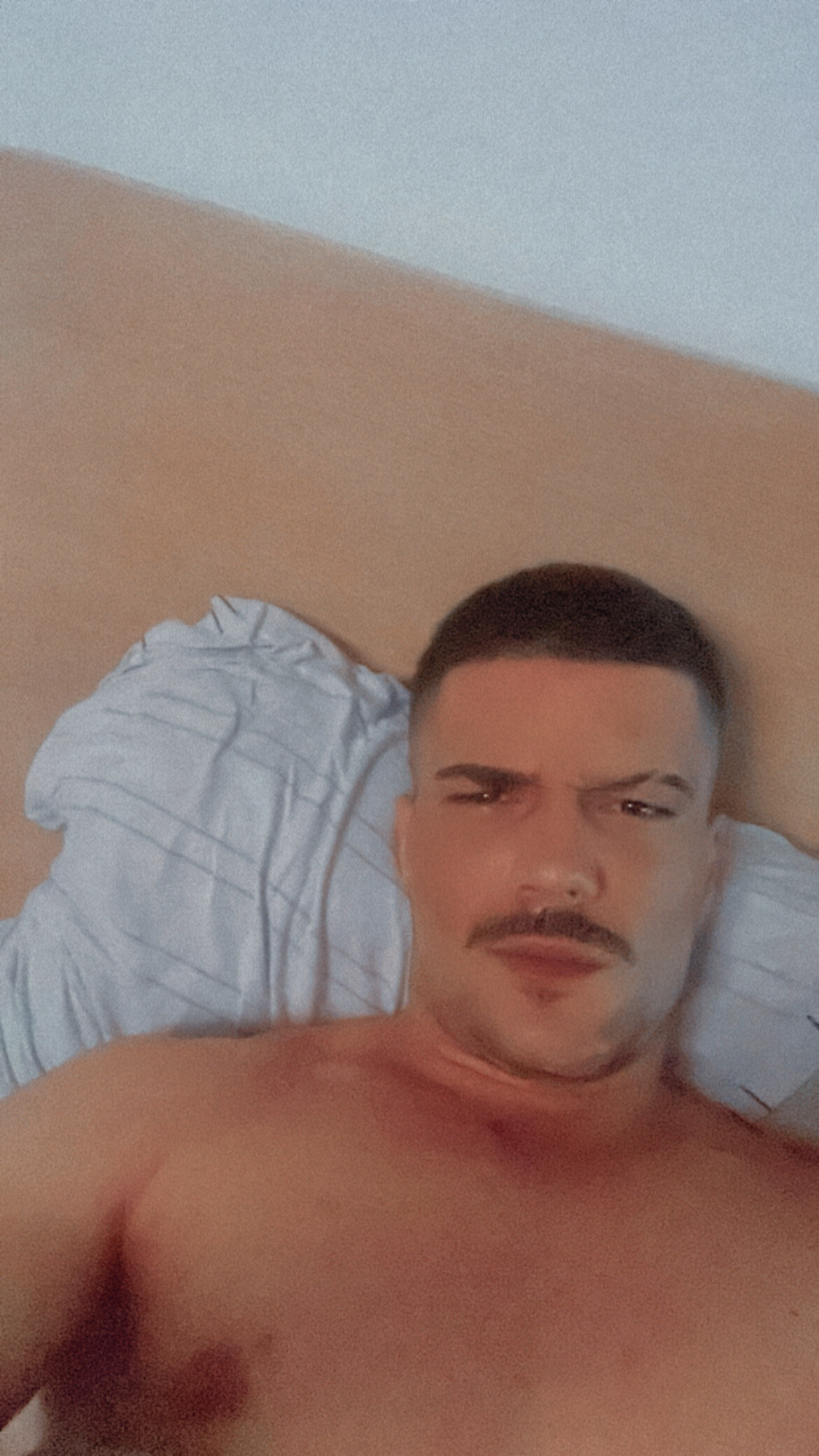Elcanaarion29