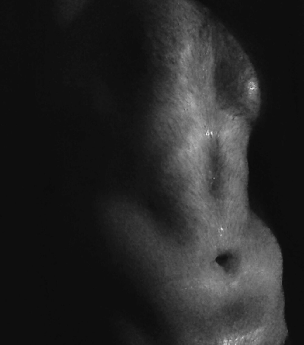 anhale1 profile