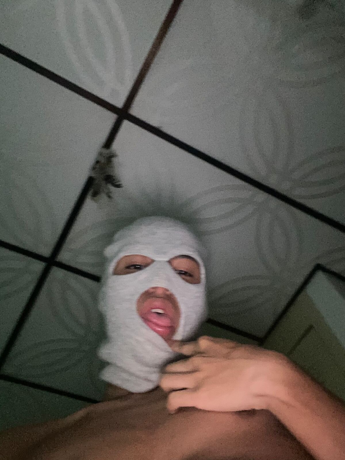king_viper_