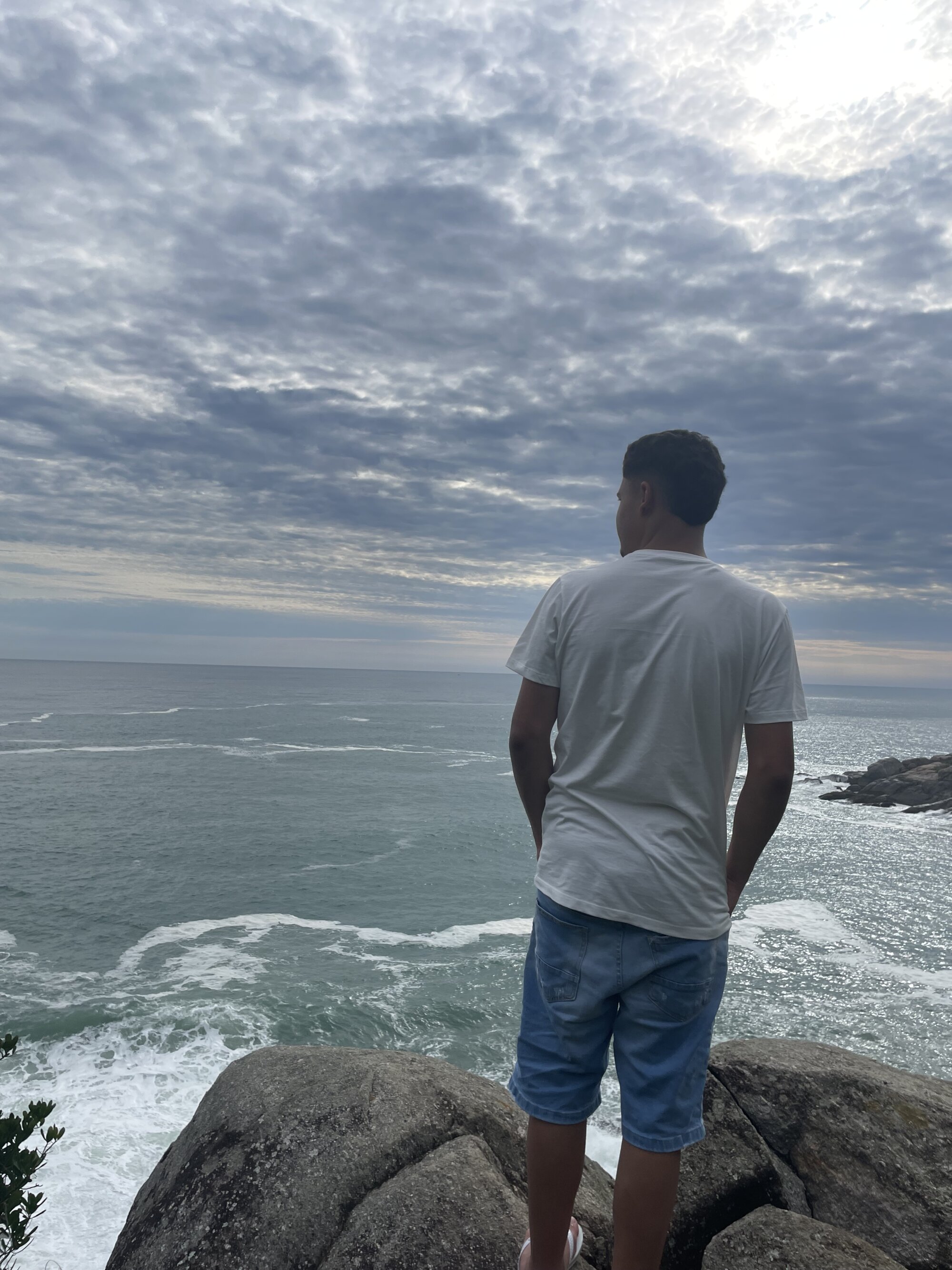 Wellington00_