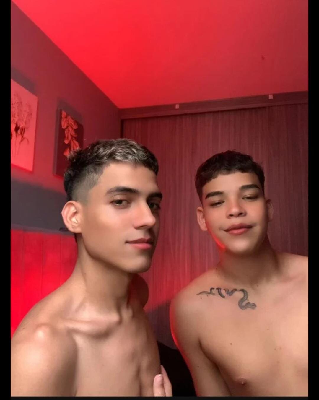 The_twin_boys