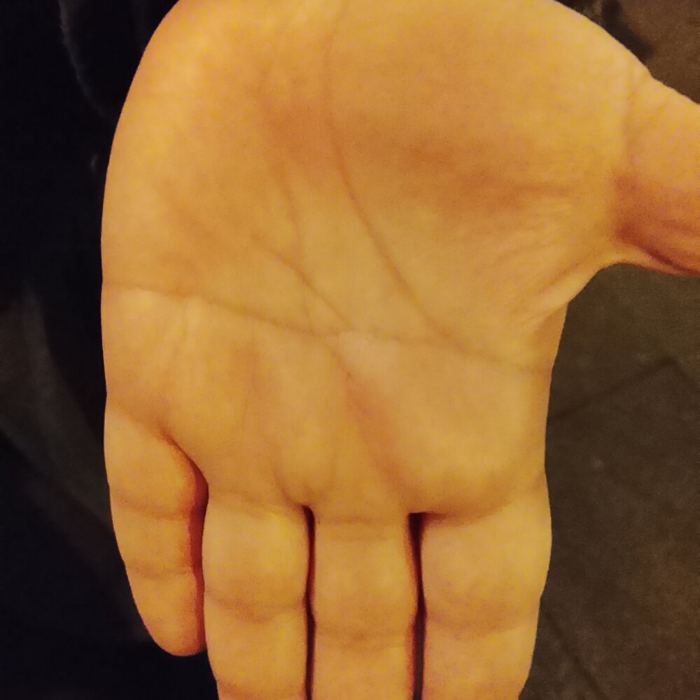 CoupleSavoie74100 오프라인 XXX 채팅