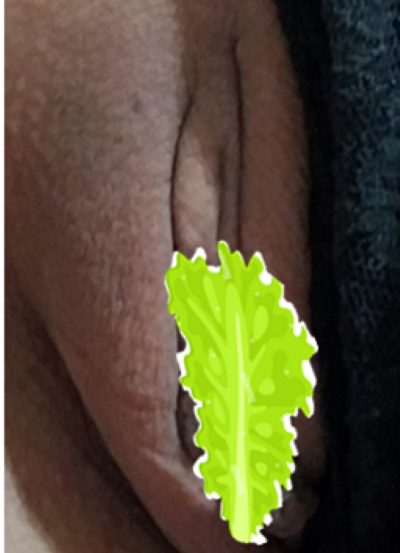 ensaladadelechugaypepino Avatar