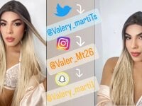 Model Valery__mt