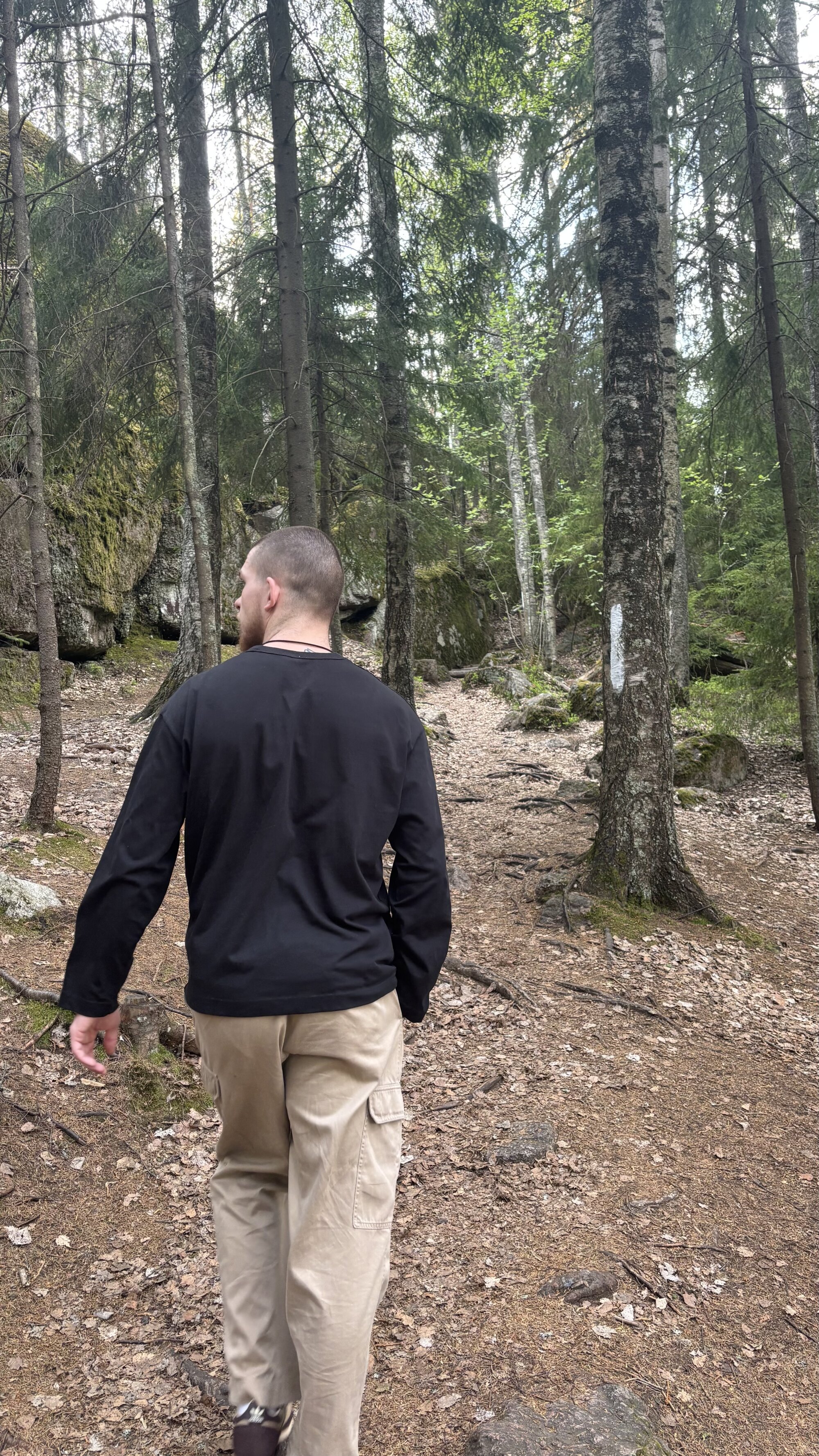 wild_pirat