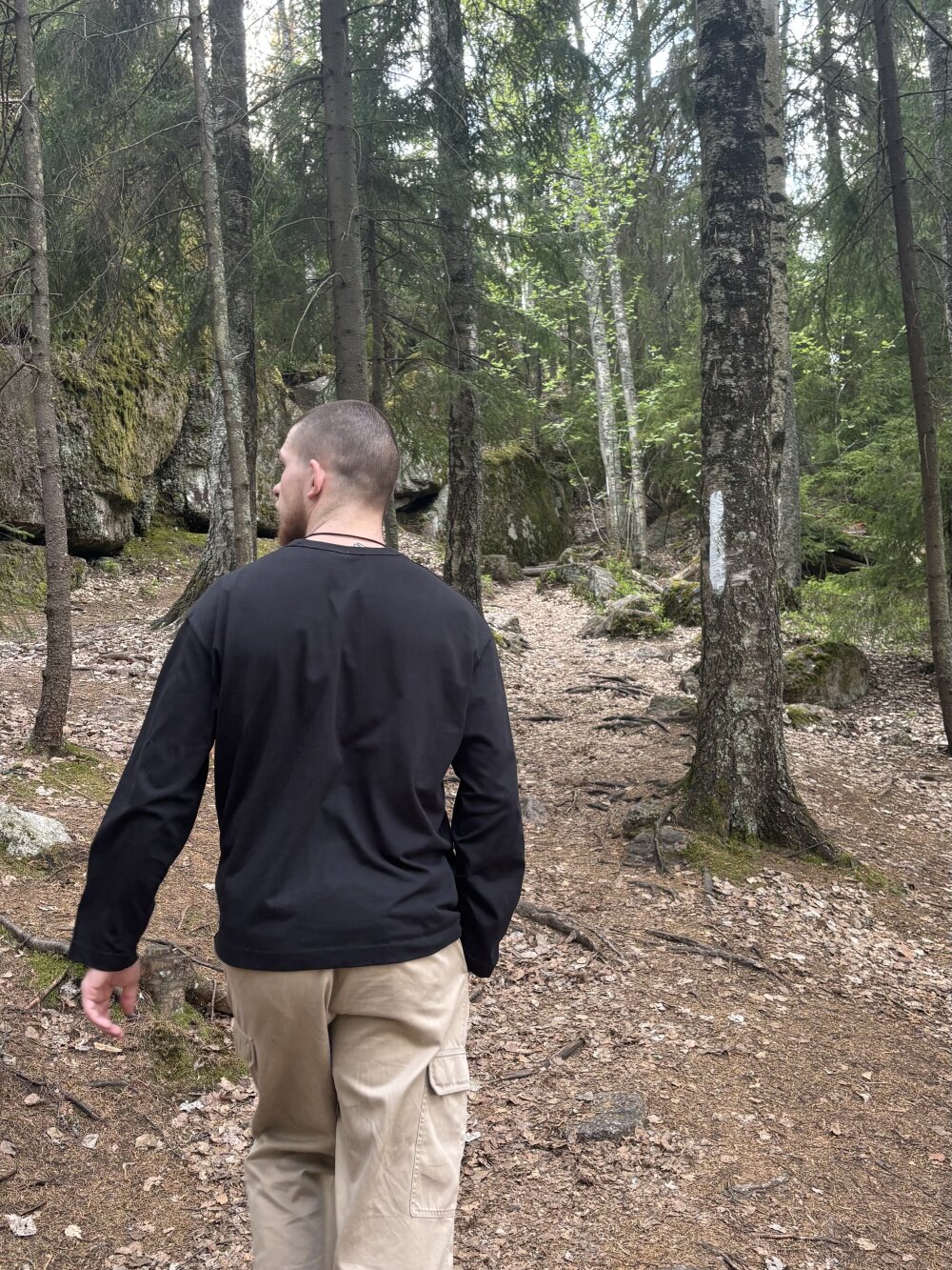 wild_pirat profile