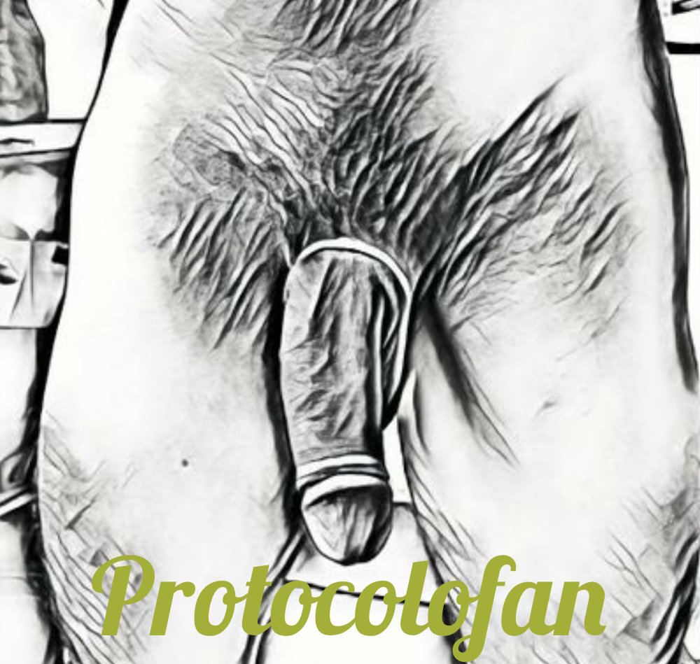 protofan