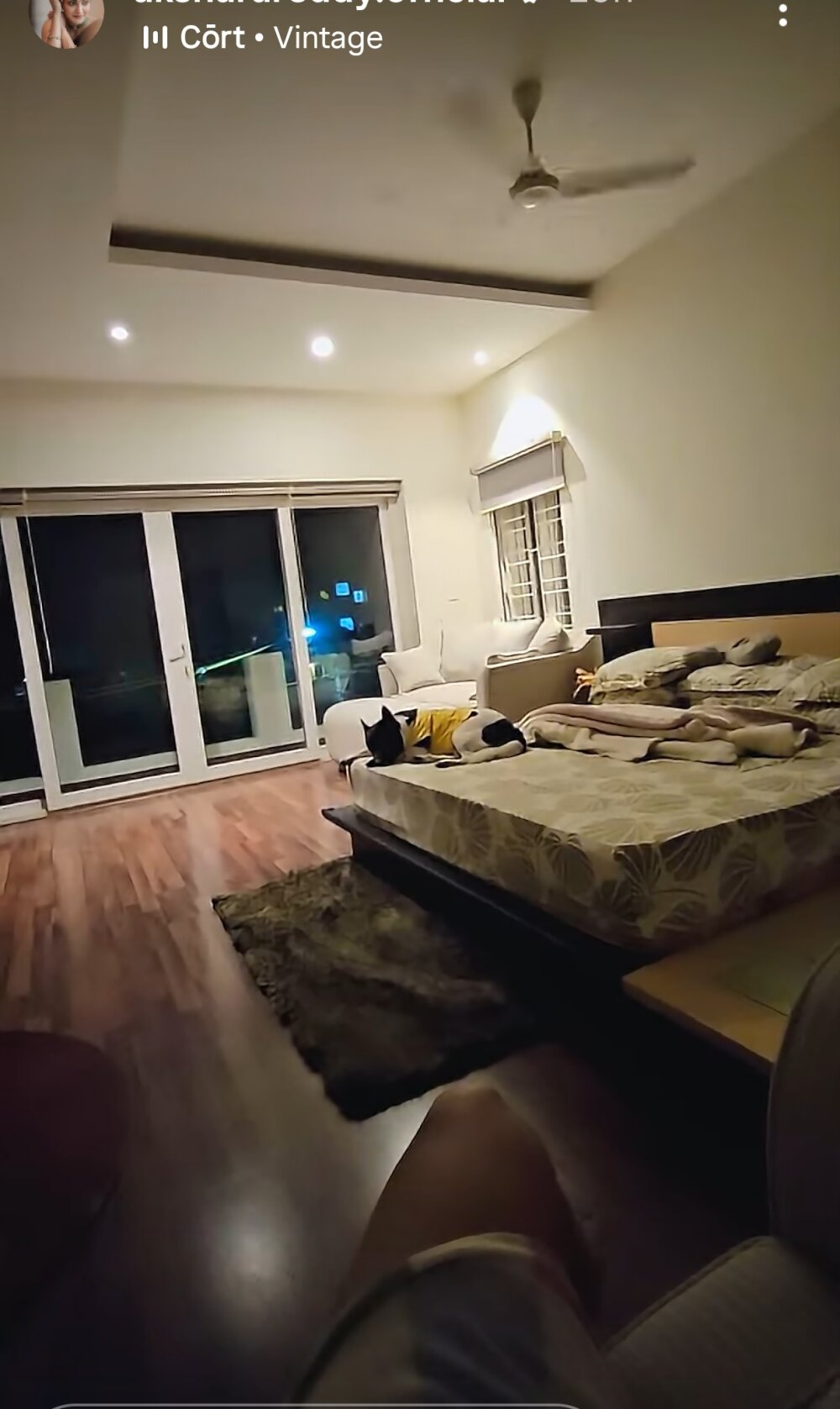 Massivehitman profile