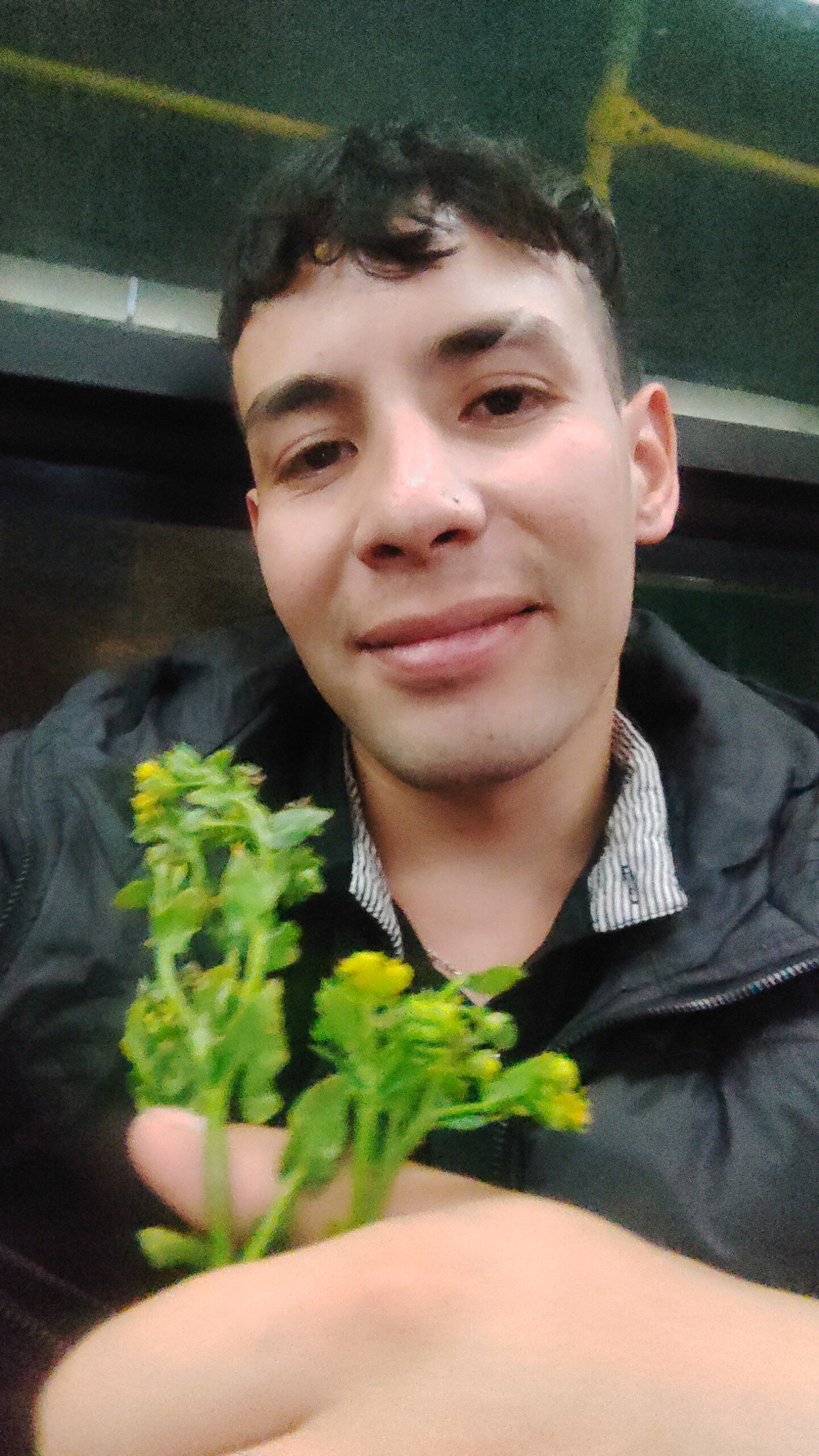 Recibi