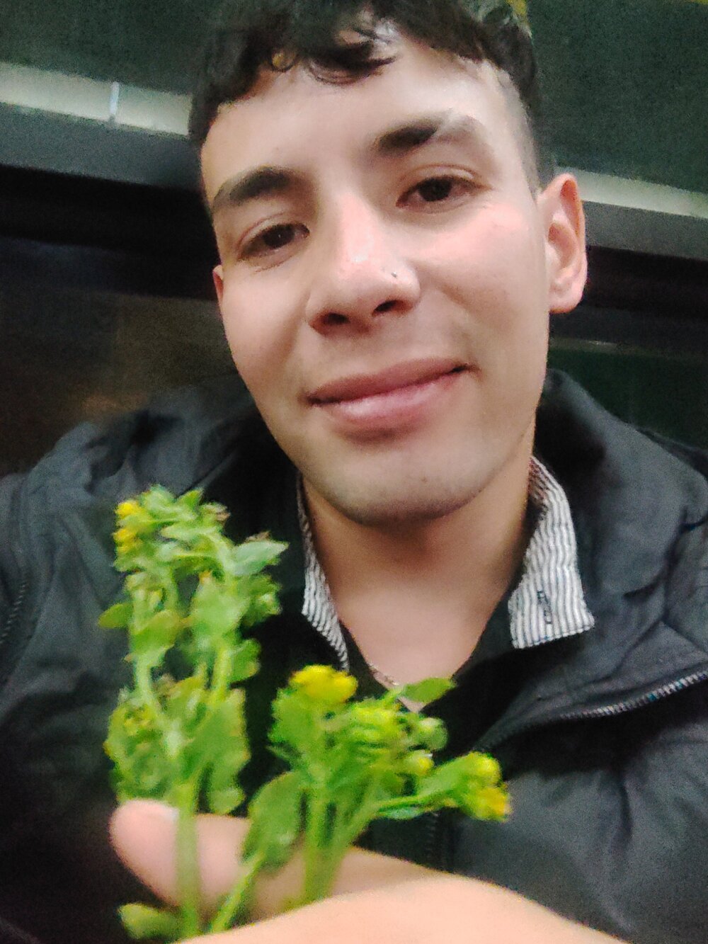 recibi from stripchat