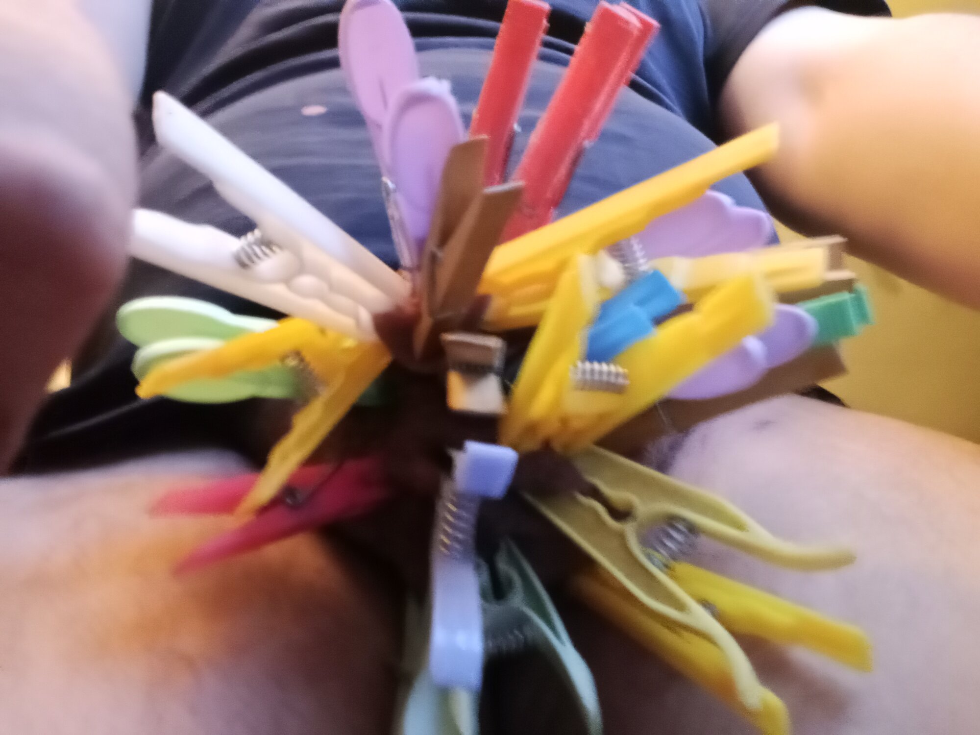 porkorossy live webcam