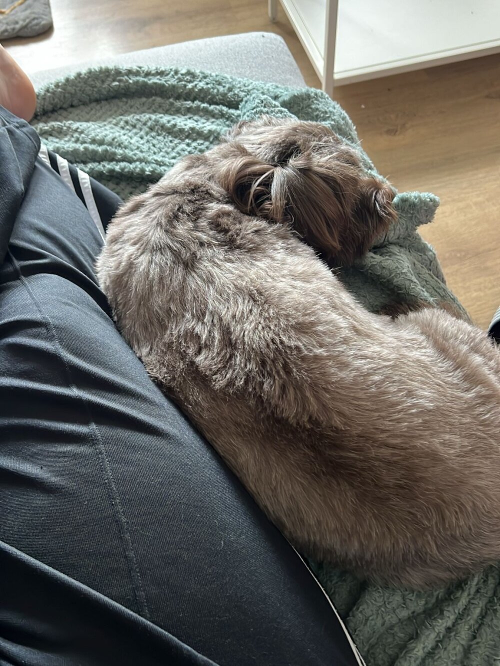 Jungfrau_NRW profile