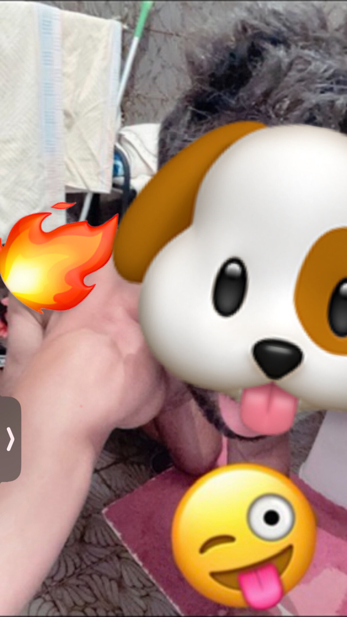 elgatitoloko9